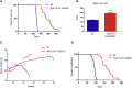 Figure 5