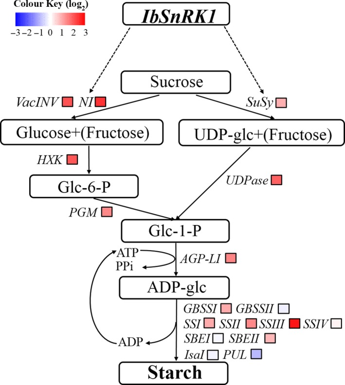 Figure 9