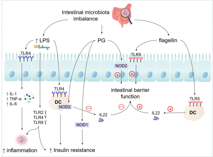 Figure 2