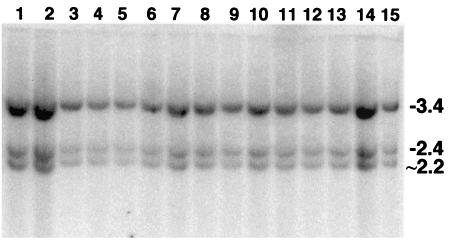 FIG. 5.