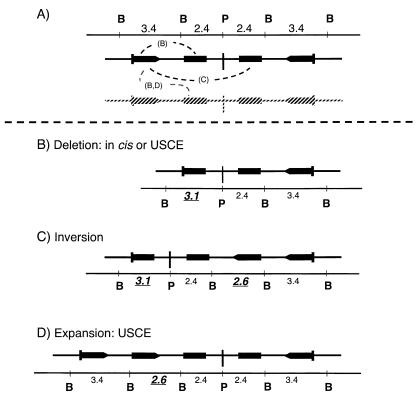 FIG. 8.