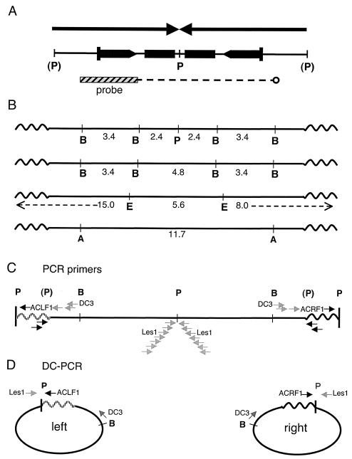 FIG. 2.