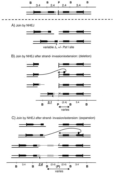 FIG. 7.