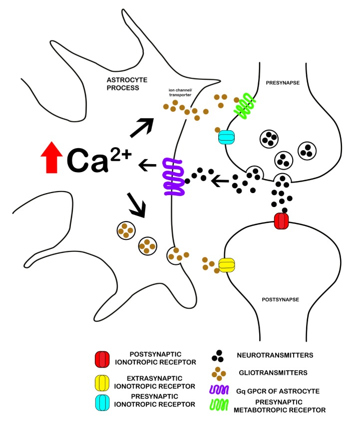 Fig. 1