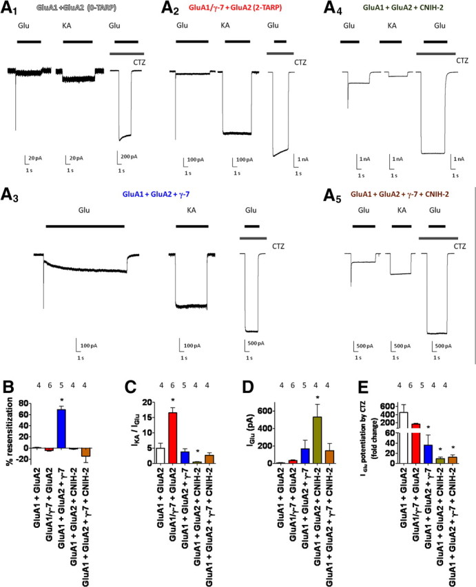 Figure 6.