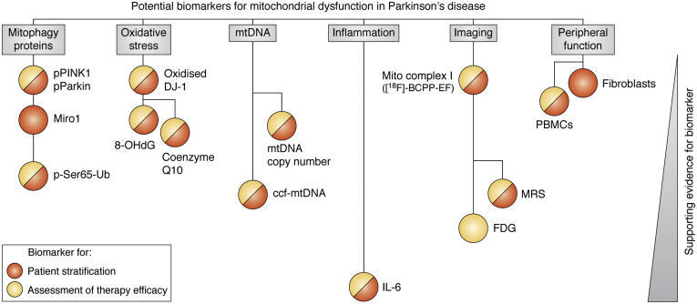 Figure 3