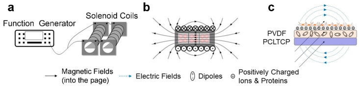 Figure 8