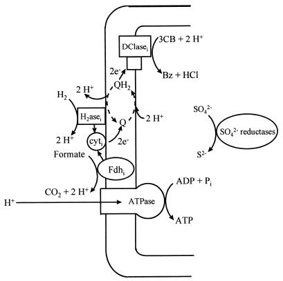 FIG. 5