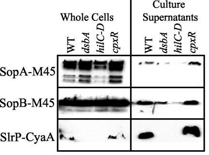 FIG. 5.