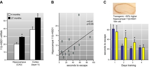 Figure 11.