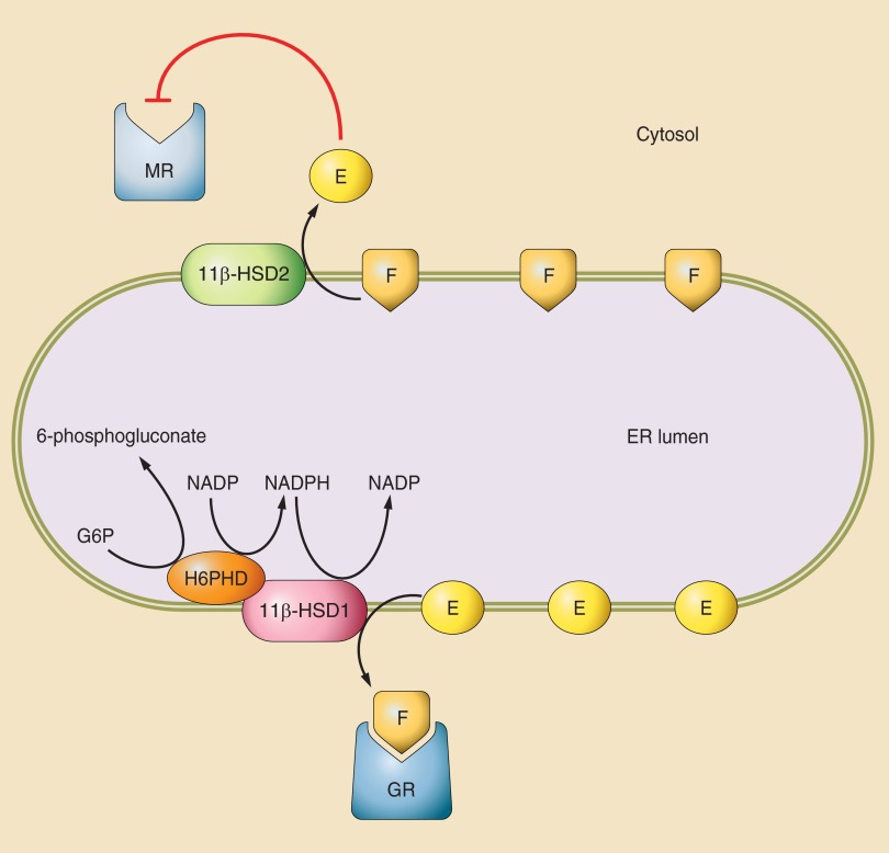 Figure 3.