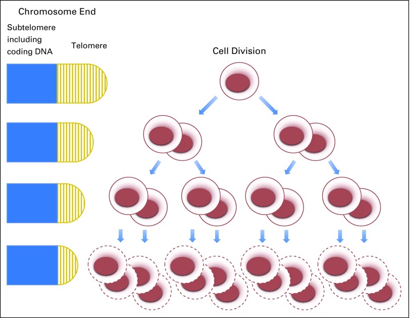 Fig 4.