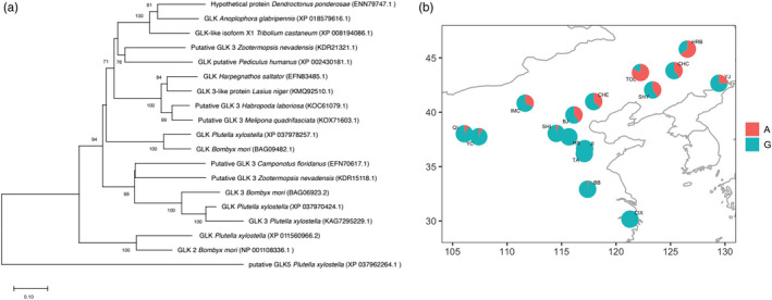 FIGURE 6