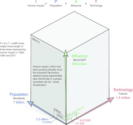 Fig. 2