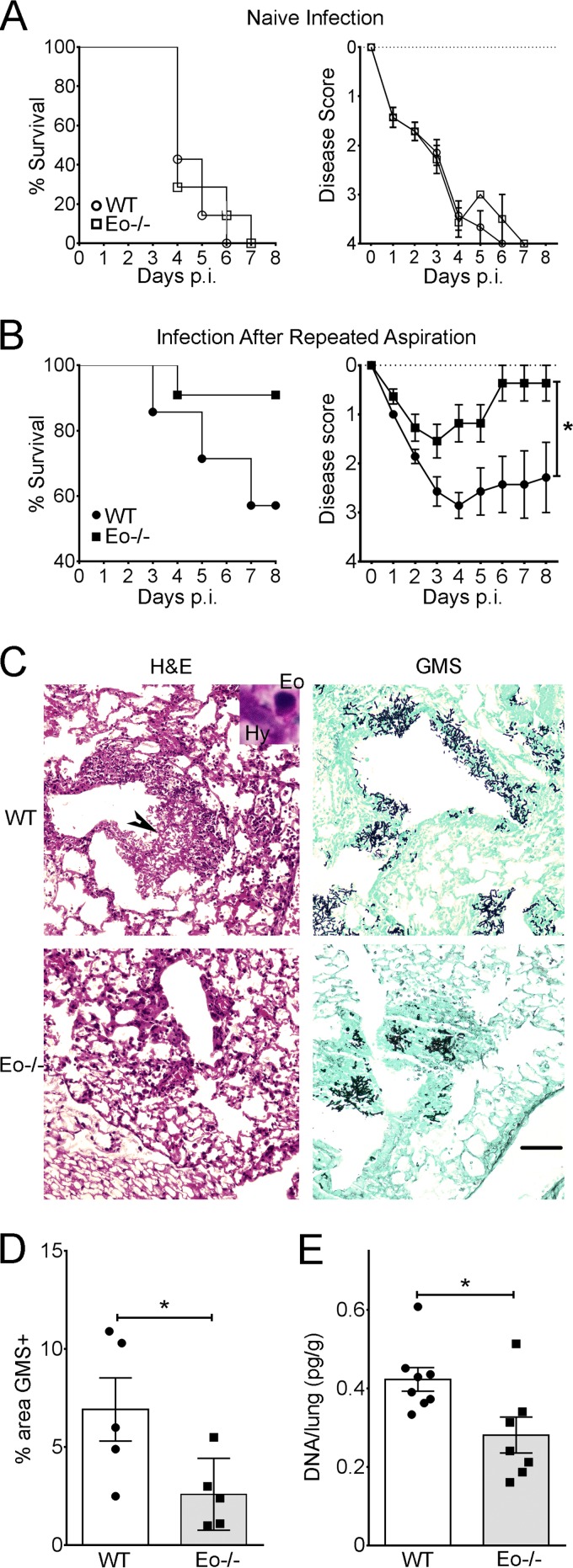 FIG 6