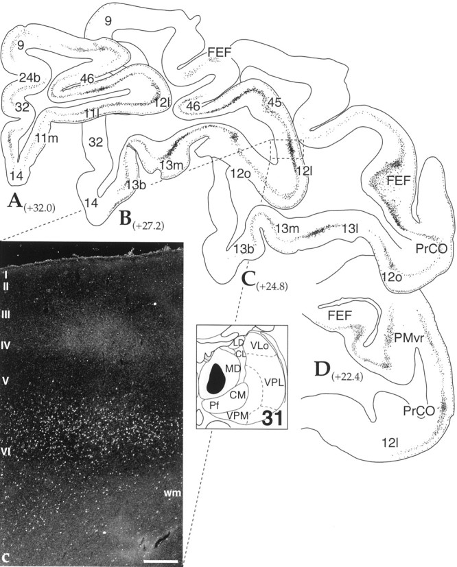 Fig. 8.