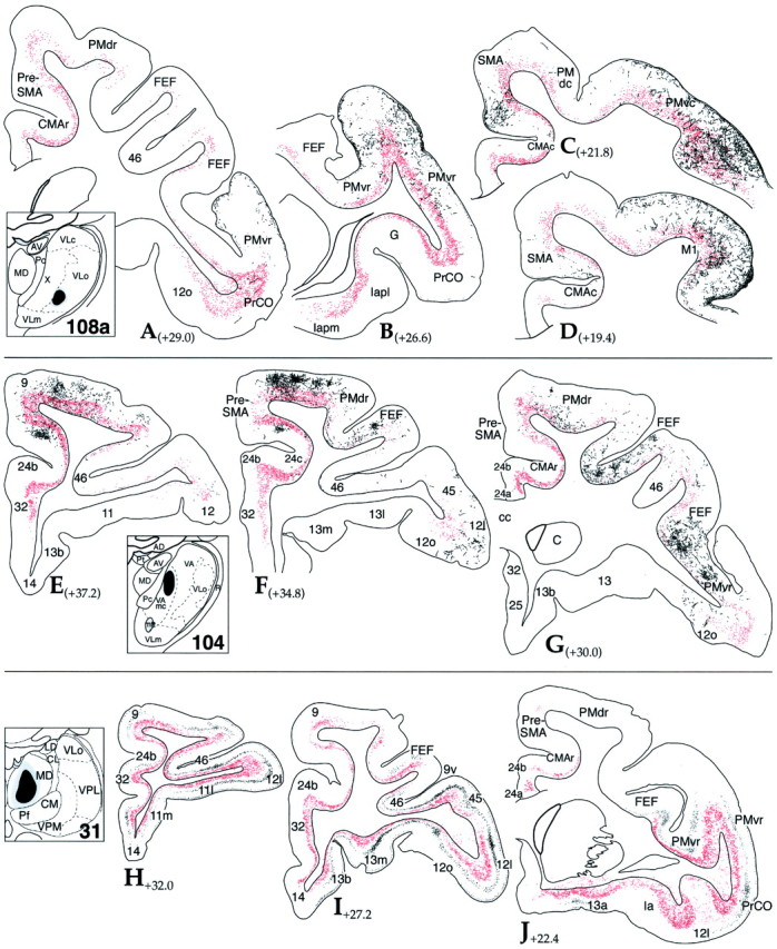 Fig. 11.