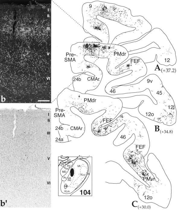 Fig. 7.