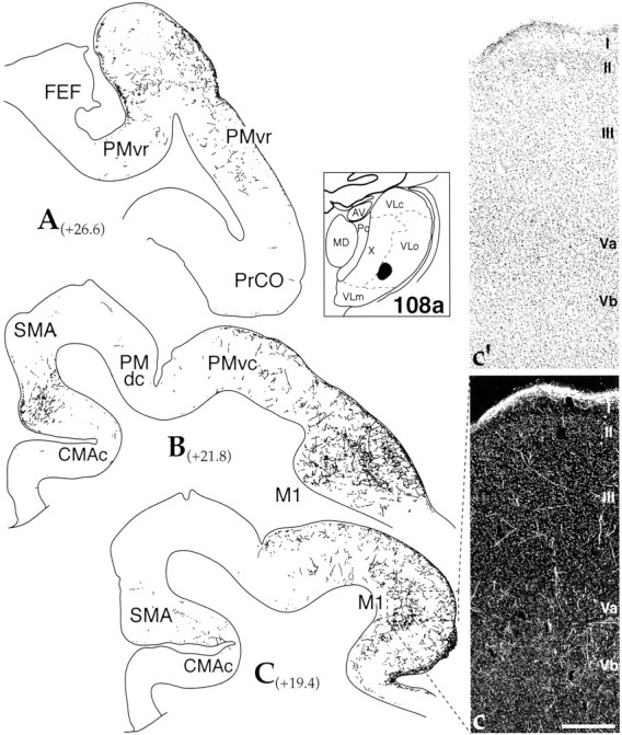 Fig. 3.