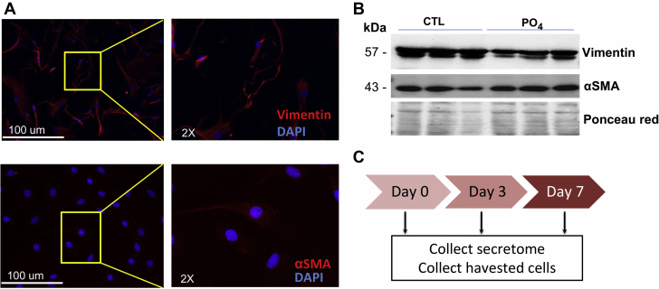 Figure 6