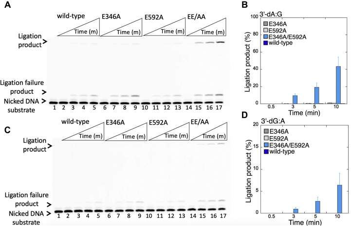 Figure 11