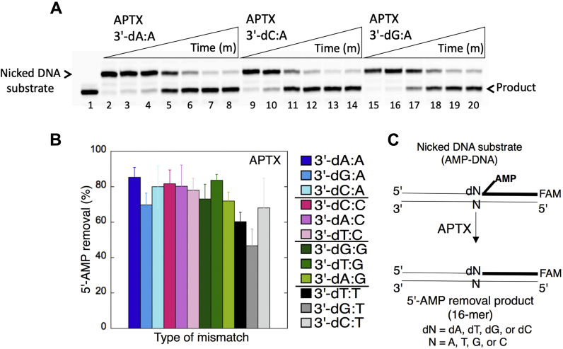 Figure 15