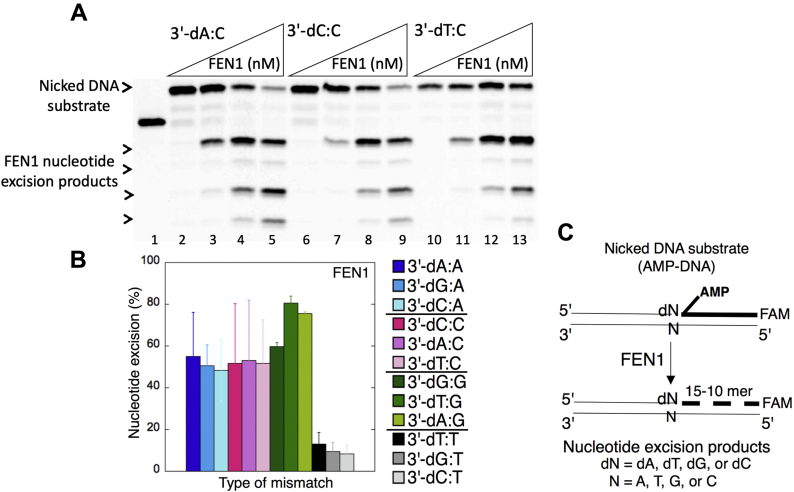 Figure 16