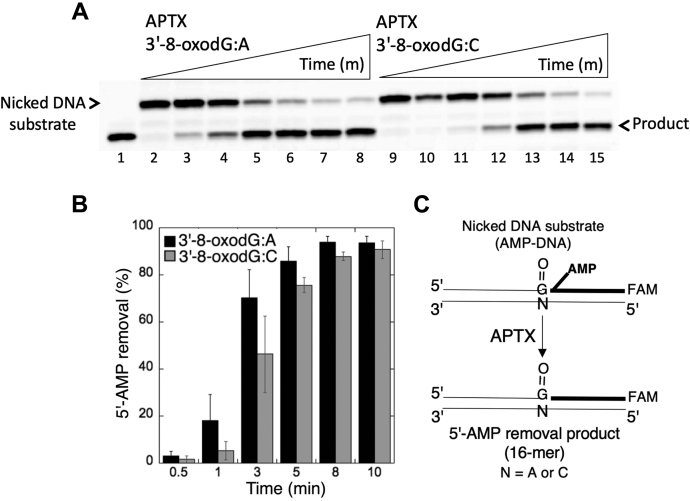 Figure 13