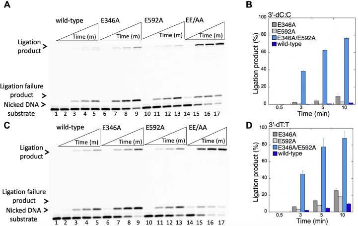 Figure 12