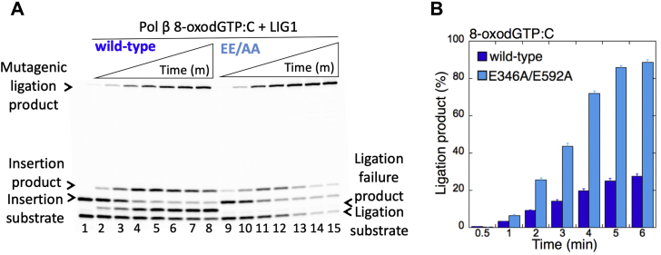 Figure 2