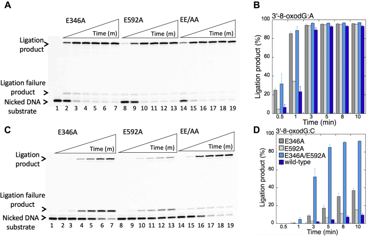 Figure 6