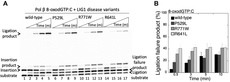 Figure 4