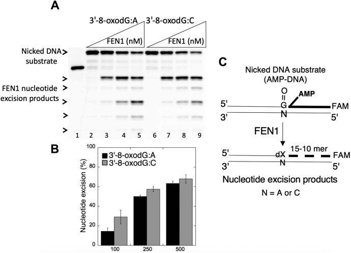 Figure 14