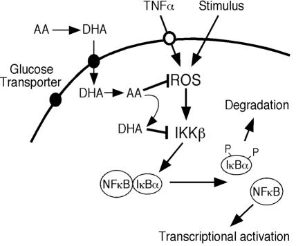 FIG. 7.