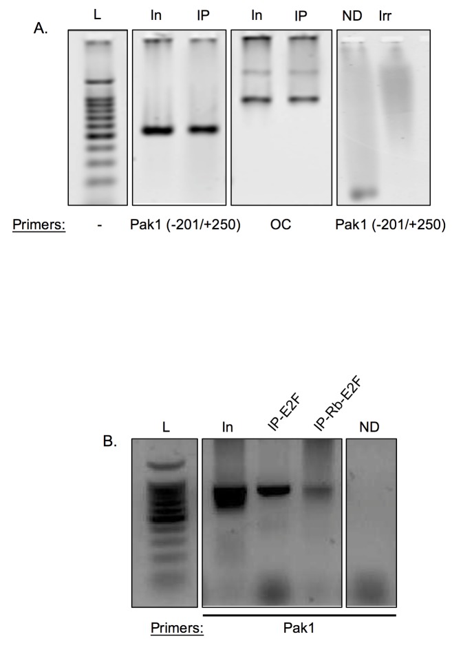 Fig 5