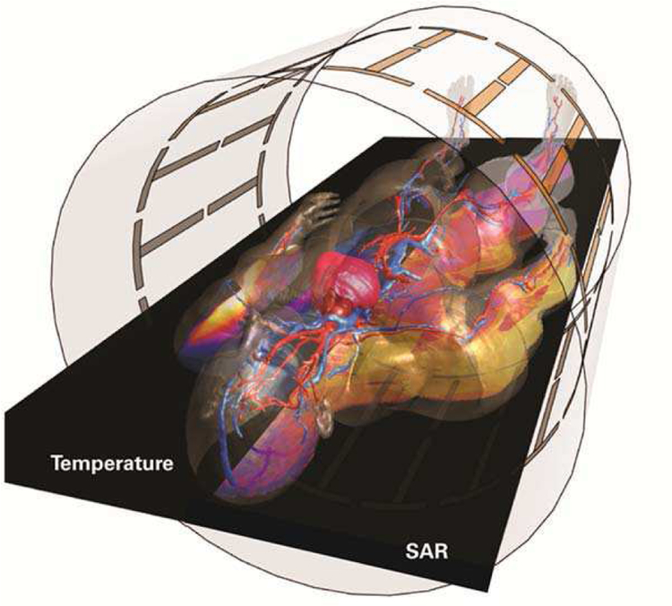 Fig. 10.