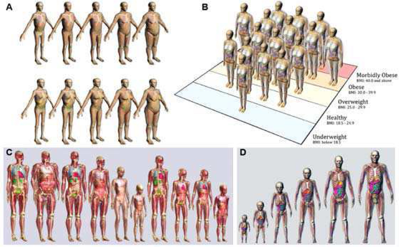 Fig. 5.