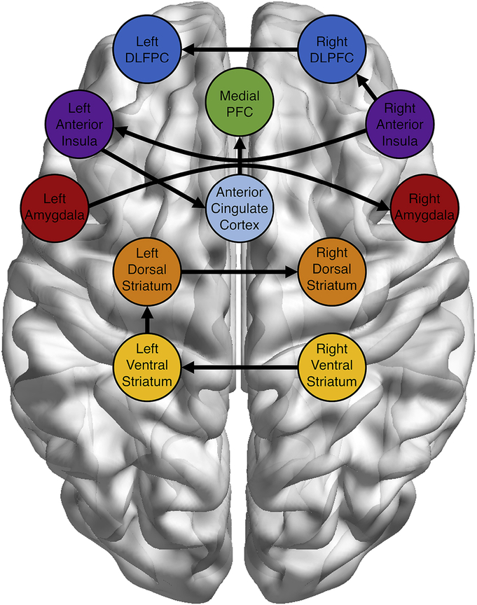 Figure 2: