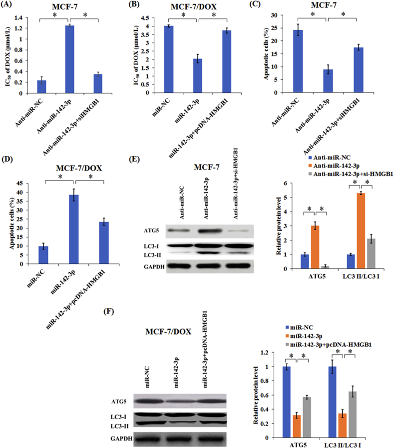 Figure 6