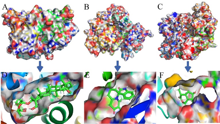 Fig. 10