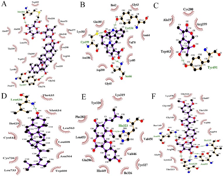 Fig. 12