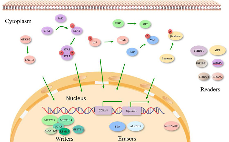 Figure 2