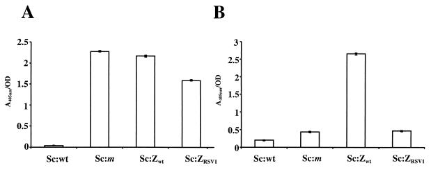 FIG. 2.