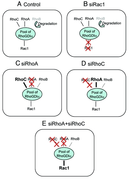 Figure 1.