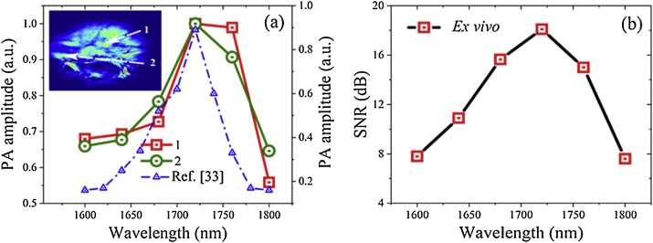 Fig. 4