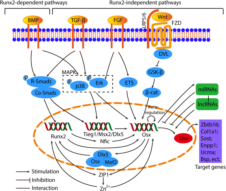 FIGURE 3