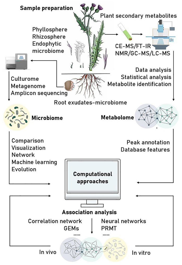 FIGURE 1