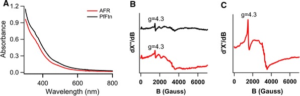 Fig. 6