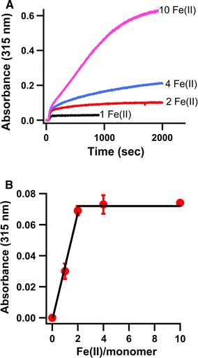 Fig. 5