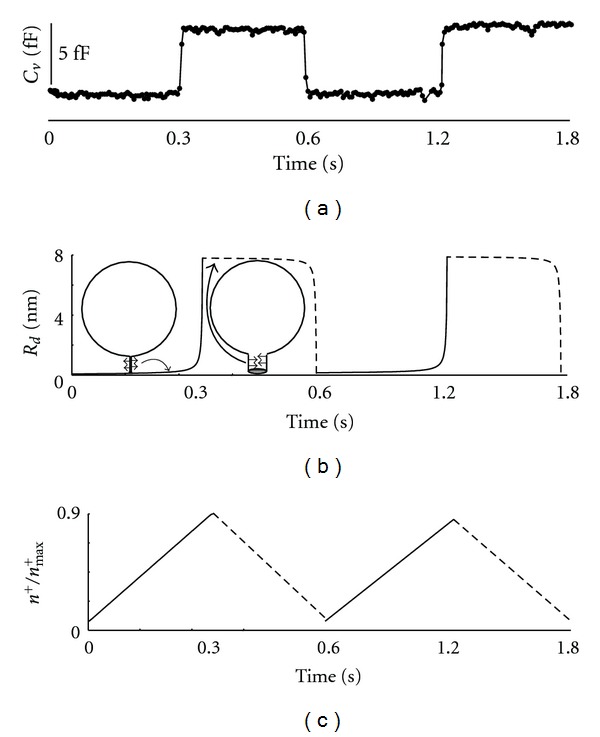 Figure 5